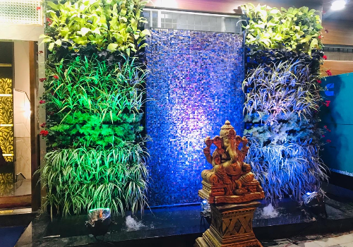 Terrace Garden Services Provider in Noida